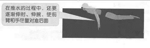 蝶泳游泳时的技巧动作有哪些_蝶泳游泳姿势_游泳技巧动作蝶泳有时间要求吗