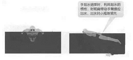 游泳技巧动作蝶泳有时间要求吗_蝶泳游泳姿势_蝶泳游泳时的技巧动作有哪些