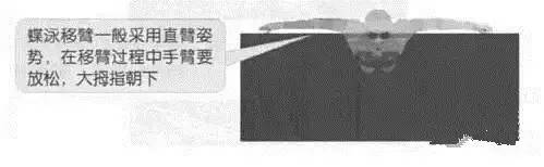 游泳技巧动作蝶泳有时间要求吗_蝶泳游泳时的技巧动作有哪些_蝶泳游泳姿势
