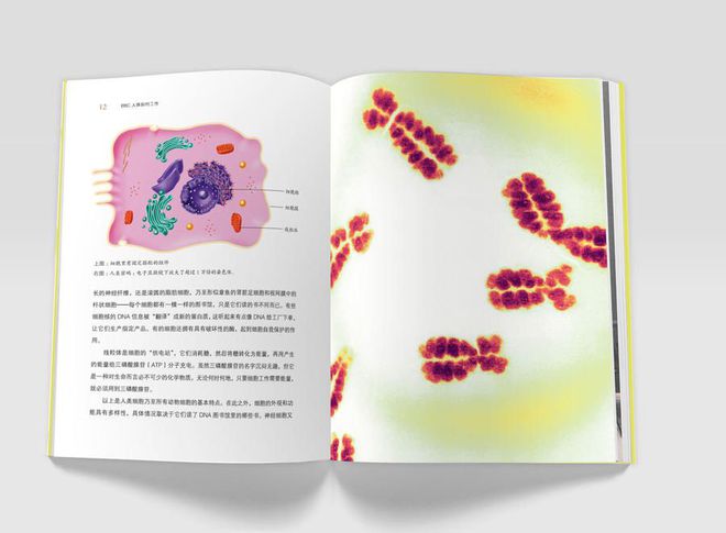 癌症的基本常识_癌症常识基本知识_癌症常识基本内容