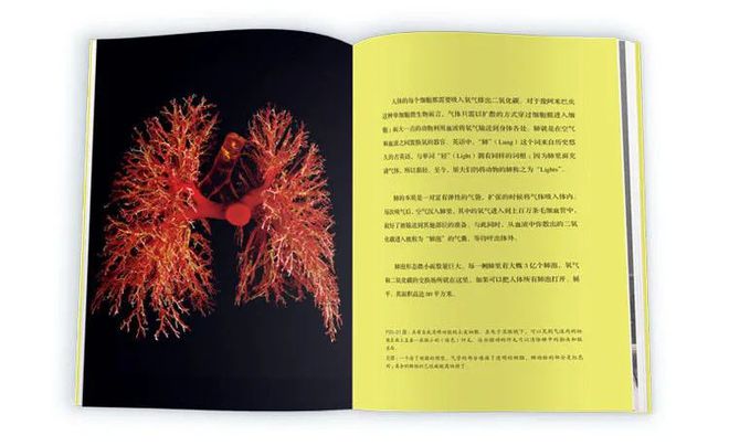 癌症的基本常识_癌症常识基本内容_癌症常识基本知识
