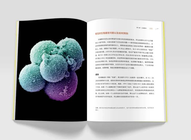 癌症的基本常识_癌症常识基本内容_癌症常识基本知识