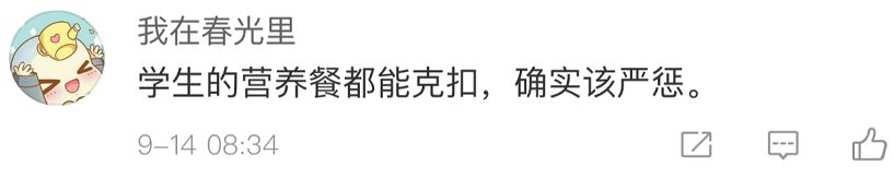 学校营养餐自查记录_营养餐自查表_营养餐自查台账